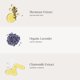 thumbnail image 5 of Spray hidratante jane iredale, relajante y lavanda, 90 ml, 5 of 7