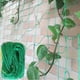thumbnail image 1 of Red de enrejado para plantas trepadoras - Red de enrejado de jardín resistente para pepino, vid, frutas y verduras Red de enrejado para plantas de tomate, (16.4' x 6.6'Ft), 1 of 5