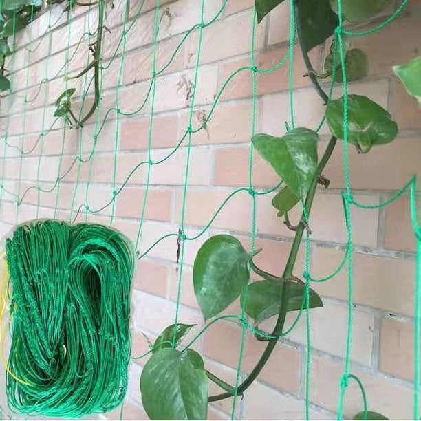 Red de enrejado para plantas trepadoras - Red de enrejado de jardín resistente para pepino, vid, frutas y verduras Red de enrejado para plantas de tomate, (16.4' x 6.6'Ft)
