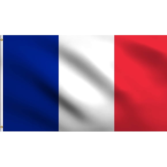 DMSE Drapeau National France 2X3 Pieds 100 % Polyester 100D Résistant aux UV (2 Pieds X 3 Pieds Pieds)