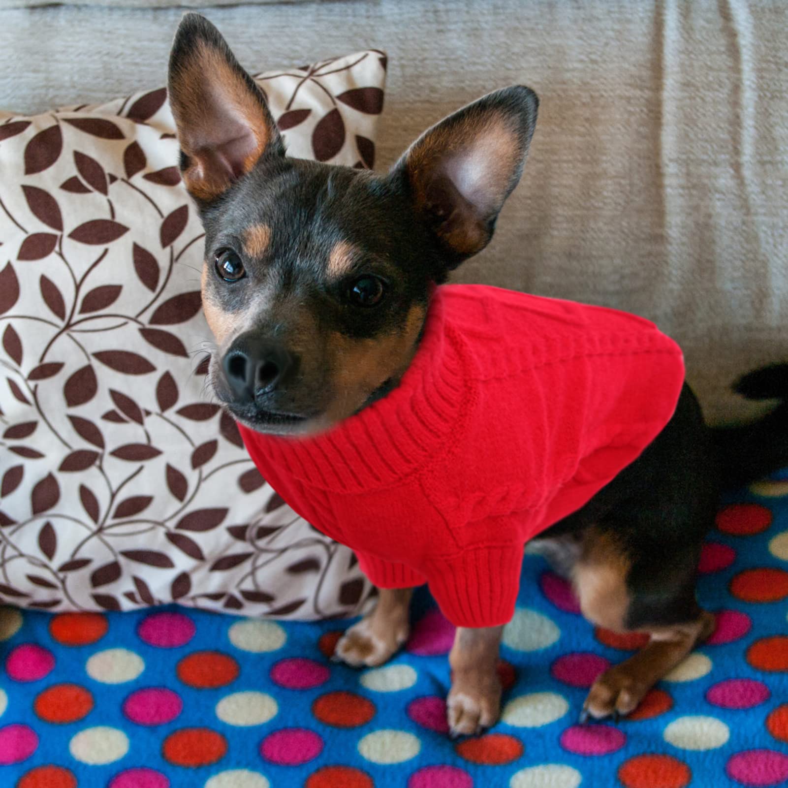 PayUSD Large Dog Sweaters,Large Dog Sweater for Pitbull Doberman,Warm Turtleneck Knitted Big Pet Sweater for Male Femal Dogs,Extra Large Size Dogs Winter Clothes