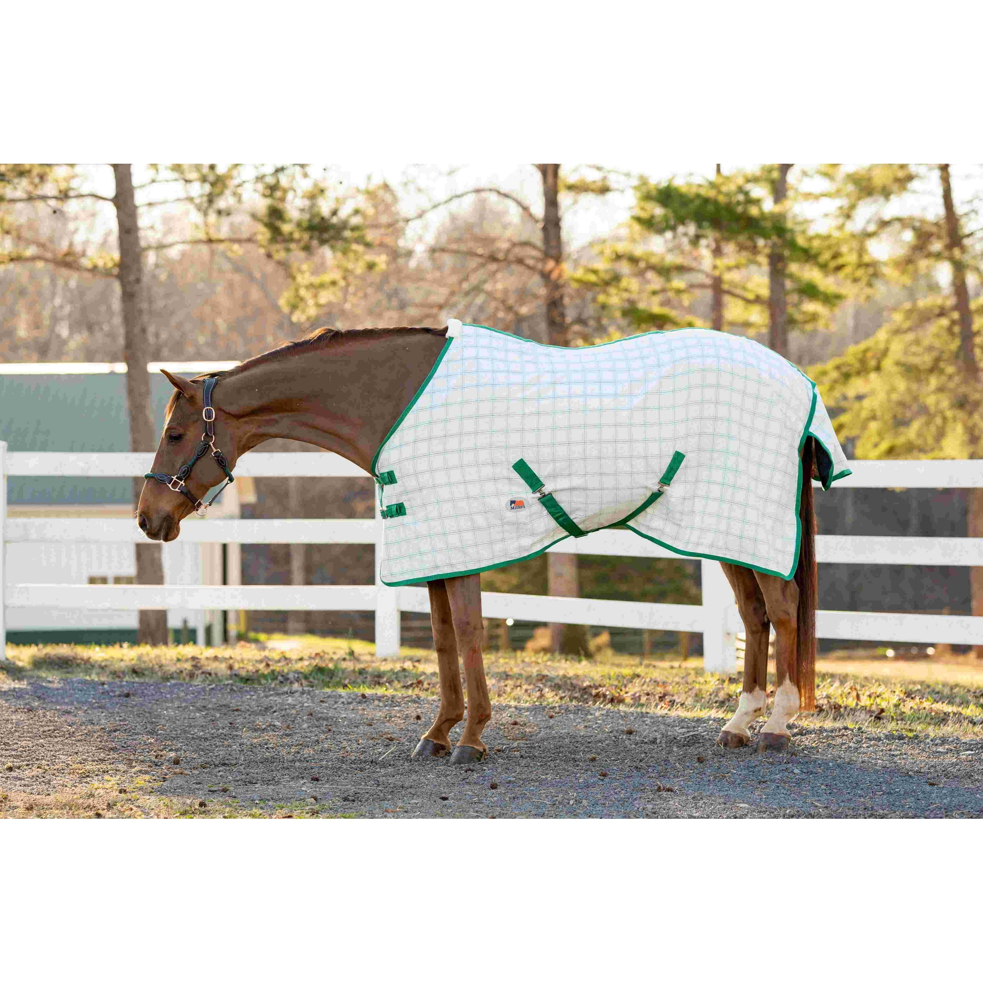 Miller's Aussie Light Weight Turnout Sheet-White/Forest Green-69