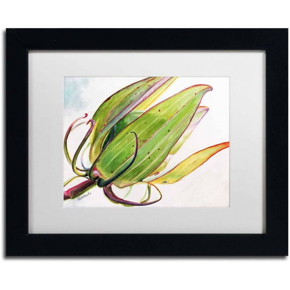 Trademark Fine Art "Flower Pod" Canvas Art by Jennifer Redstreake White Matte, Black Frame