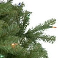 thumbnail image 2 of Northlight 9' Pre-Lit Rockwood Pine Artificial Christmas Tree, Multi Lights, 2 of 6
