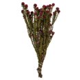 thumbnail image 1 of Vickerman H1TOF450-2 12-18 in. Merlot Tortum with 5-7 oz Bundle, 1 of 1