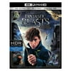 Warner Home Video Br631138 Fantastic Beasts & Where To Find Them (Blu-Ray/4K-...