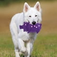 thumbnail image 3 of LOVEVER Pet Latex Toys Pacifiers Squeeze Pig Small Dog Squeaky Vocalize Emulsion, 3 of 6