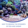 thumbnail image 3 of WEUVEB Para Acuario Transparente Con Natural Para Refugio De Peces Y Camarones, 3 of 8