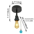 thumbnail image 2 of FSLiving RV Adjustable Wall Light with Amber Zipper Switch,12V Black RV Decorative Ceiling Mount, E26 2700K Bulb Included Industrial Semi Flush Mount for RV Camper - Set of 3, 2 of 6