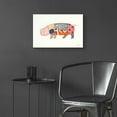 thumbnail image 6 of Epic Art 'From the Butcher II by Courtney Prahl, Acrylic Glass Wall Art, 24"x16", 6 of 8