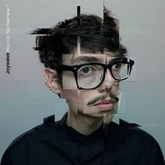 Joywave - How Do You Feel Now - Music & Performance - CD