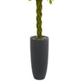 thumbnail image 3 of Nearly Natural 6.5’ Braided Ficus Artificial Tree in Planter UV Resistant, 3 of 3