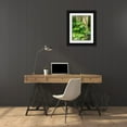 thumbnail image 3 of Gulin, Sylvia 15x18 Black Ornate Wood Framed with Double Matting Museum Art Print Titled - Hawaii-Maui-Up Country-Kula-Kula Botanical Gardens with Rainbow eucalyptus trees, 3 of 4