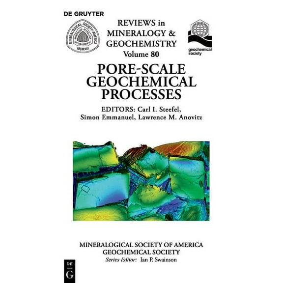 Reviews in Mineralogy & Geochemistry Pore Scale Geochemical Processes, Book 80, (Paperback)