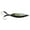 C, variant on Shenmeida 30/40/60g Fishing Lures Hard Baits, 3D Eyes Minnow Crankbaits Topwater Fishing Lures for Angling