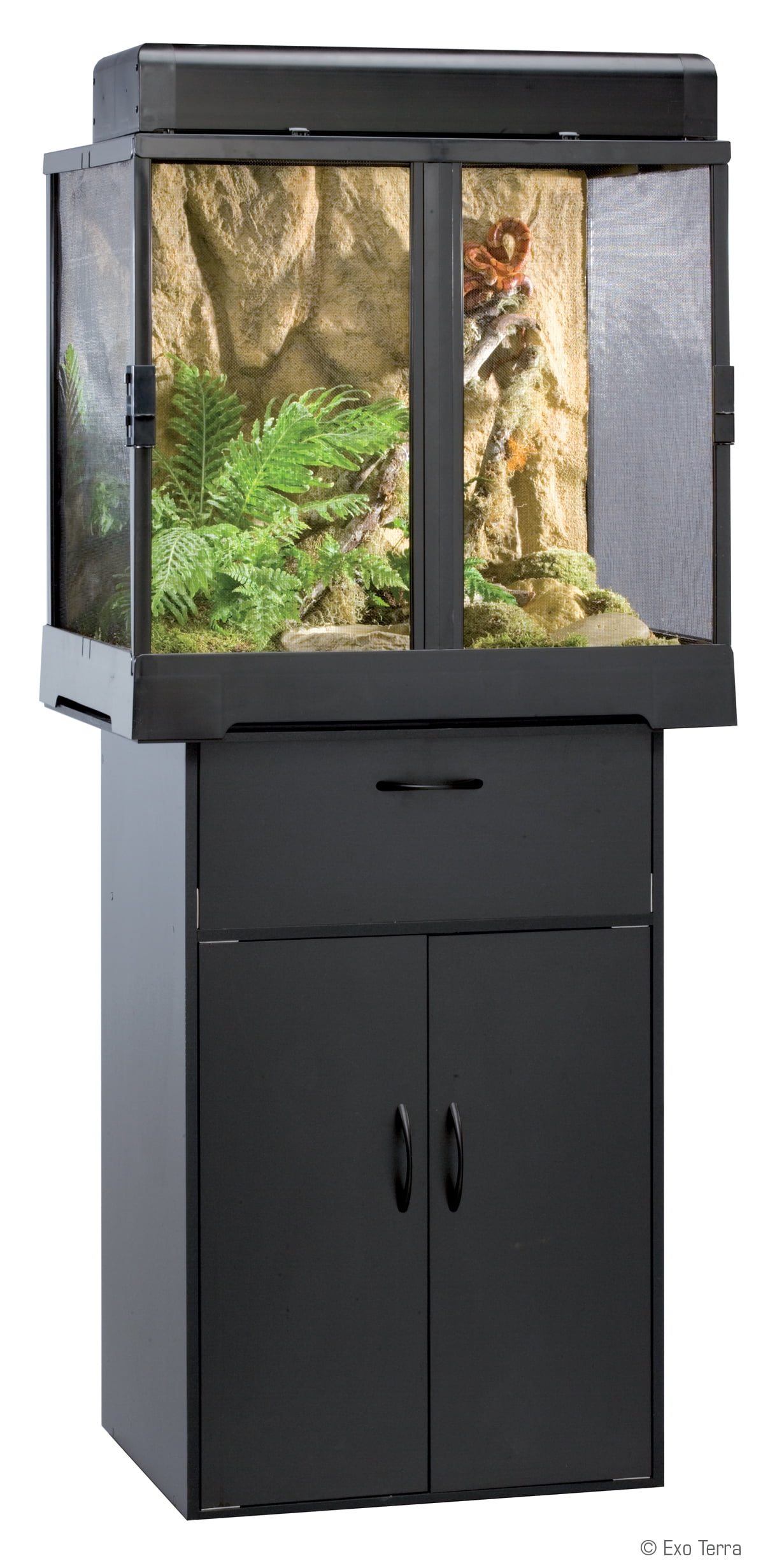 Exo Terra Terrarium Matttroy