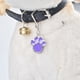 thumbnail image 4 of Greeniant Colgantes Pies de animales Encantador Colgante Colgante Pequeño Resistente Joyería Accesorio Collar Pendientes Regalo para el Ropa para mascotas Rojo, 4 of 6