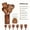 8-Piece, variant on Premium Wooden Kitchen Utensils Set - 8/9 Pcs Spoons, Spatula, Holder & Spoon Rest for Non-Stick Pans, Heat Resistant, Easy Clean, Ideal Cooking Baking Gift