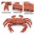 thumbnail image 2 of Usbinx Life Colorful Simulation Crab Sea Animals Small Animal Model Ornaments Durable Plastic Creative Educational Toy 9.6x8cm, 2 of 4