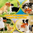 thumbnail image 3 of Hagloyecr 2026 New Indestructible Dog Toy, Dog Toys for Aggressive Chewers, Durable Squeaky Chew Teething Toys Interactive Plush Chew Toy for Dogs Puppy Shrimp, 3 of 6