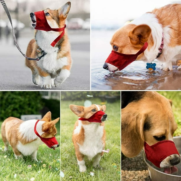 Dog mouthpiece hot sale