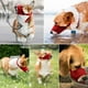 thumbnail image 5 of Boquilla para perros para ladrar y masticar, boquilla suave y cómoda para nariz larga., 5 of 6