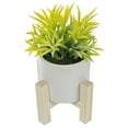 thumbnail image 5 of Northlight 8" Potted Green Artificial Succulent with Wooden Stand, 5 of 5