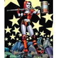 thumbnail image 2 of DC Comics Batman Champion Harley Kids Silk Touch Throw Blanket, 2 of 4