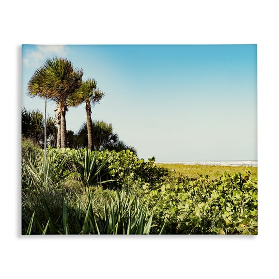 Stupell Industries Lush Tropical Shoreline Landscape Photography Gallery Wrapped Canvas Art Print Wall Art, 20 x 16