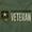 Military Green, variant on US Army Logo Looking at a Veteran Unisex Plus Size Graphic Tee Brisco Brands 3X