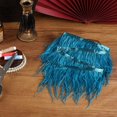 thumbnail image 4 of Avestruz con ribete de plumas, turquesa, 2 yardas, 13 a 18 cm, 4 of 7