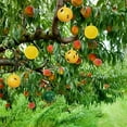 thumbnail image 5 of YiaNXan 10 Pack Sticky Fruit Fly Trap Ball, Hanging Adhesive Fly Catching Ball for Plants, Catching Indoor Outdoor Garden Kitchen Gnat Flying Insects Traps (Yellow), 5 of 9