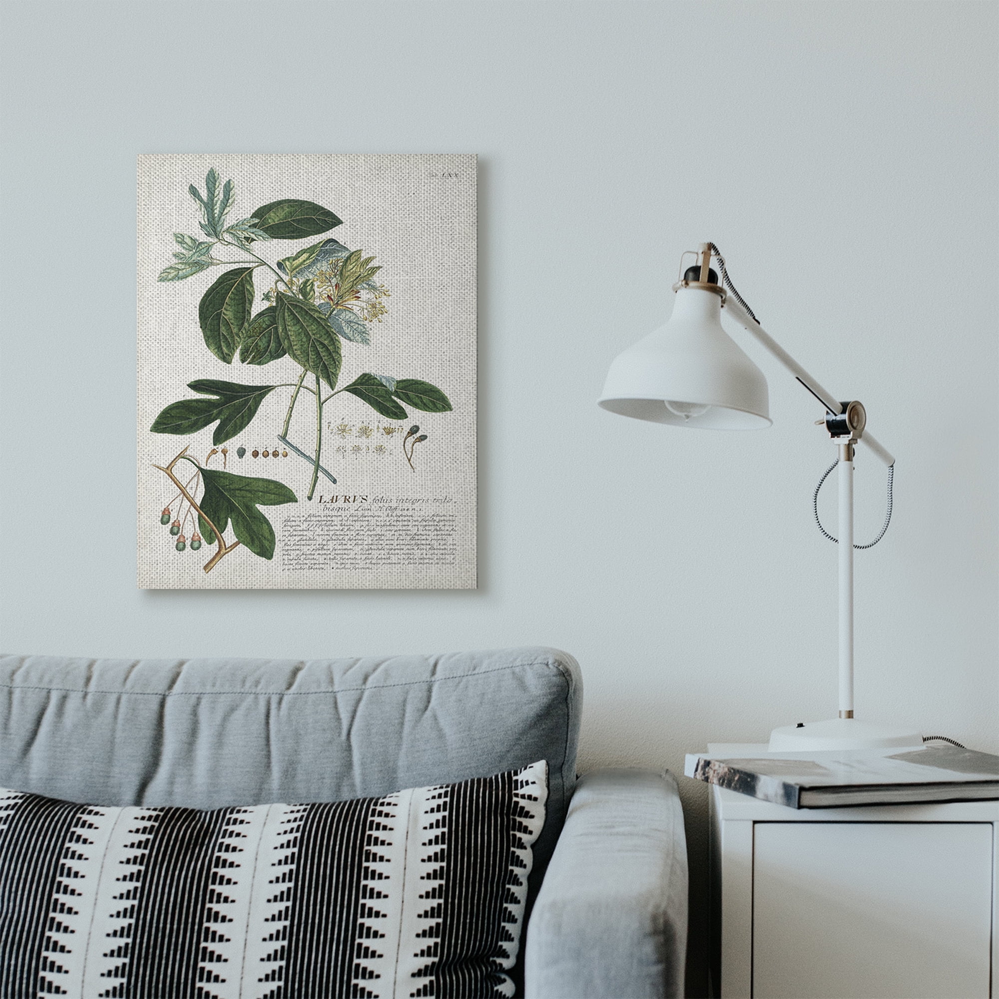 Stupell Industries Botanical Plant Illustration Green Leaves Vintage Design Canvas Wall Art by Unknown