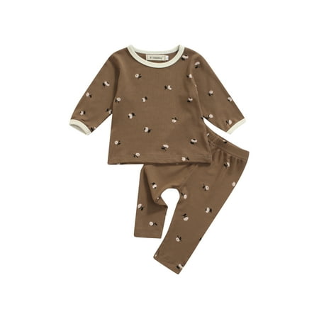 

TheFound Toddler Baby Boy Girl Floral Fall Spring Outfits Long Sleeve Ribbed Pullover T-Shirt Tops Long Pants Clothes