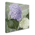 thumbnail image 3 of Trademark Fine Art "Hortensia 1" Canvas Art by Color Bakery, 3 of 4