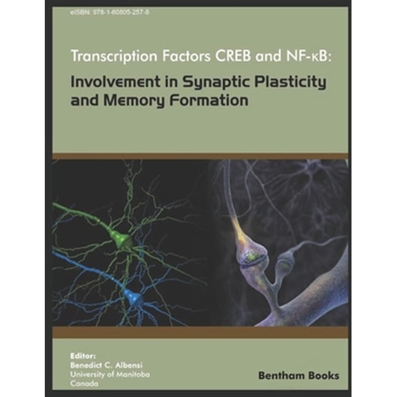 Pre-Owned Transcription Factors CREB and NF-KB : Involvement in Synaptic Plasticity and Memory Formation (Paperback)