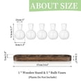 thumbnail image 7 of Plant Terrarium Propagation Station, Glass Planter Bulb Vase with Wooden Tray, Modern Bud Vases for Living Room Office, 7 of 7