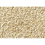 White Quinoa Grains