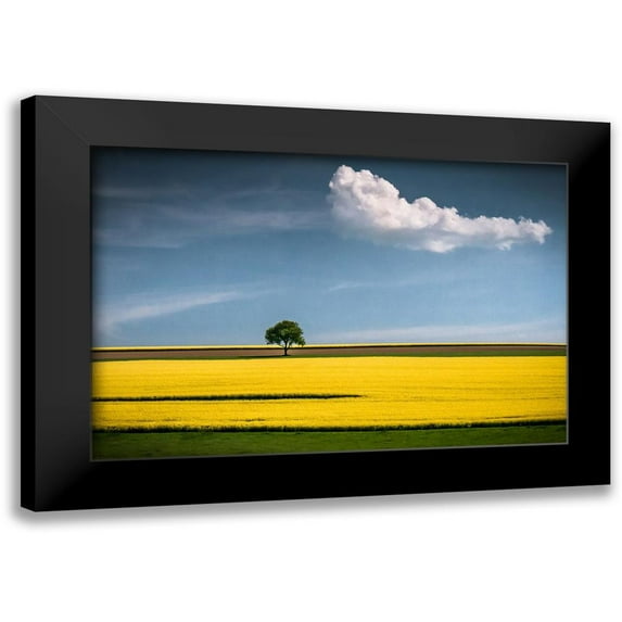 Wonisch, Andreas 14x11 Black Modern Framed Museum Art Print Titled - The Tree and the Cloud