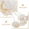 thumbnail image 3 of unbranded 4Ud Flor Secada Beige Reemplazable Para Difusores De Aceite En Casa, 3 of 8