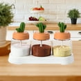 thumbnail image 2 of Seasoning Box, Spice Jar Set, Cactus Condiment Container Set, Kitchen Box Transparent Glass Jar Home Bottle Combination Set, Seasoning Box Set Condiment Jar Spice, 2 of 6