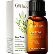 Gya Labs Australian Organic Tea Tree Oil for Skin - Natural Tea Tree Oil for Hair - Tea Tree Oil for Face - Tea Tree Essential Oil for Toenails, Scalp & Piercings  (0.34 fl oz)