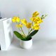 thumbnail image 5 of Gwong Decoración hogareña 1 Set Fake Flowe Eco-Friendly Fácil de limpiar Simulación de tela Plantas en maceta para el hogar Gwong 21061383, 5 of 6