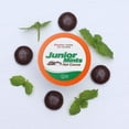 thumbnail image 2 of Junior Mint Chocolate MintSingle-Cup Hot Cocoa for Keurig K-Cup Brewers, 12 Count, 2 of 10