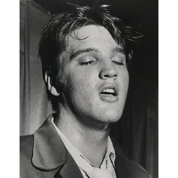 Elvis Presley History Poster Print