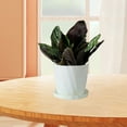 thumbnail image 5 of IPEWLEX Scandinavian Style Resin Flower Pots with Saucer, Durable Thickened Plastic Indoor Planters for Various Plants, 5 of 6