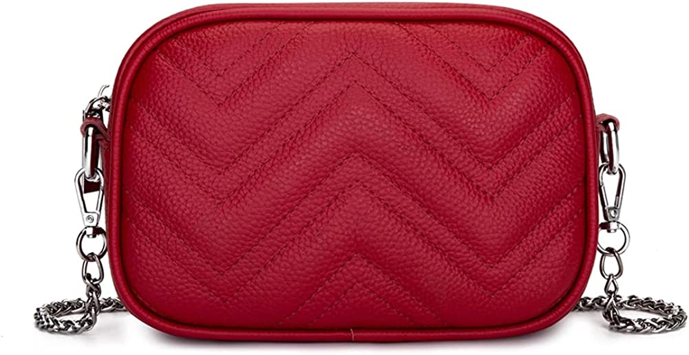 CoCopeaunt Camera Crossbody Bag for Women Genuine Leather Chain Strap