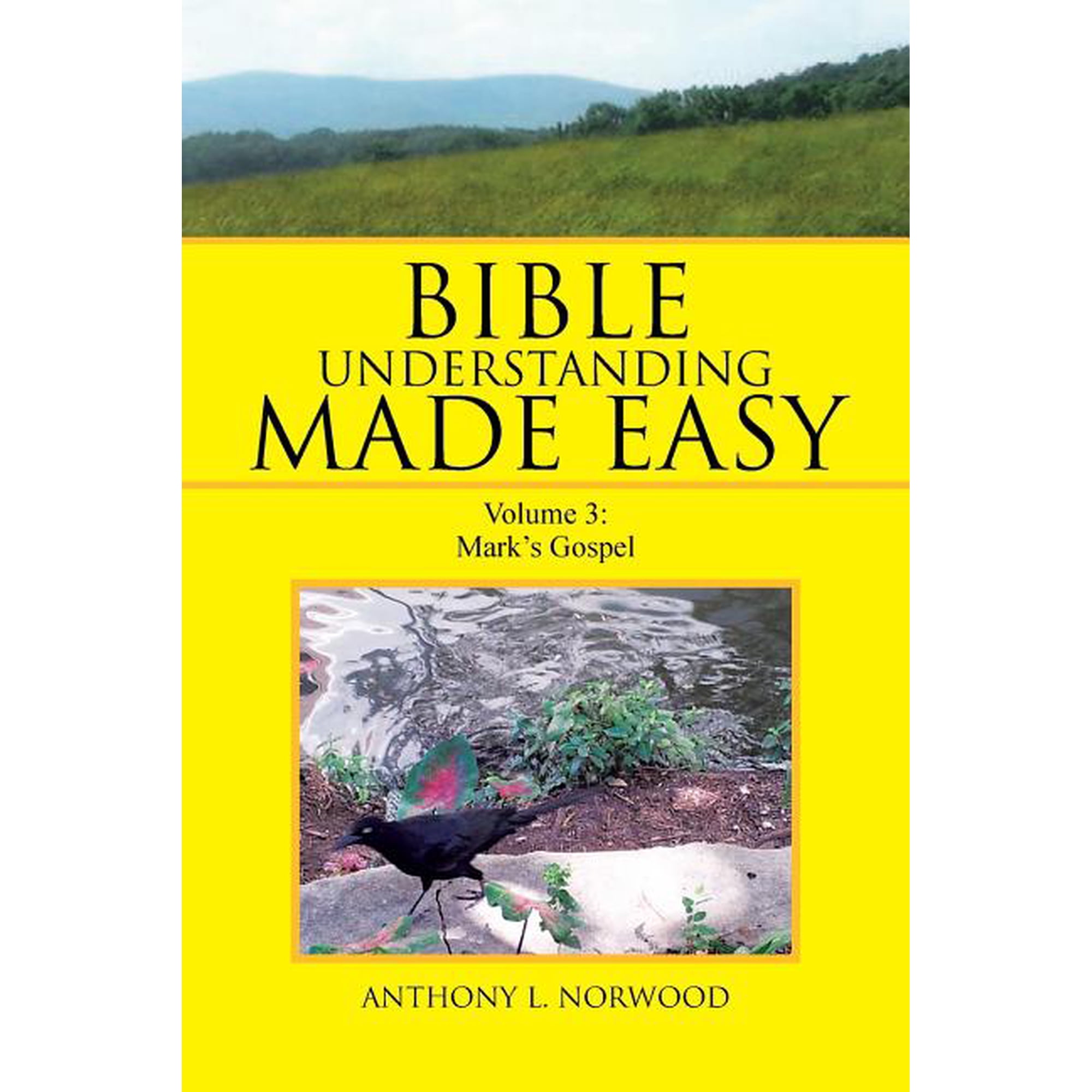 Bible Understanding Made Easy: Volume 3: Mark s Gospel (Paperback)