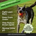 thumbnail image 2 of Pet Honesty Grass Green Digestive Support, 90 Count Chews, Smoked Turkey Flavor, 2 of 8