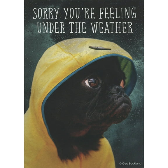 Oatmeal Studios Black Dog in Yellow Rain Slicker: Under the Weather Get Well Card